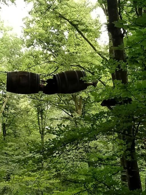 Le Mimosa, Maison De Vacances Trans Zewnętrze zdjęcie
