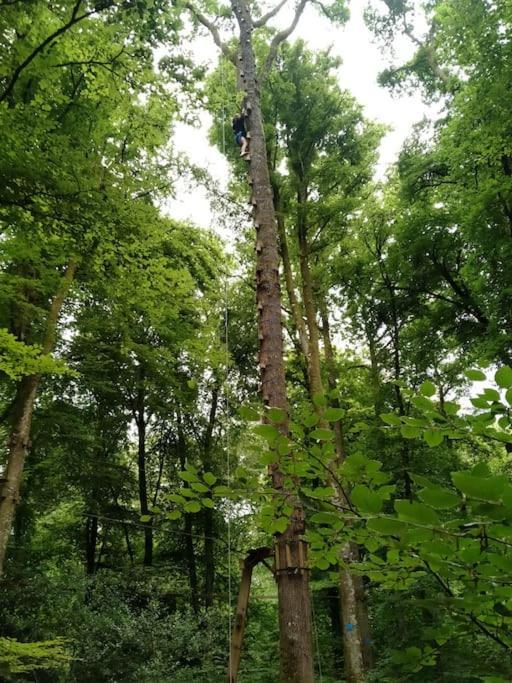 Le Mimosa, Maison De Vacances Trans Zewnętrze zdjęcie